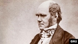 Charles Darwin (1809.- 1882.) 