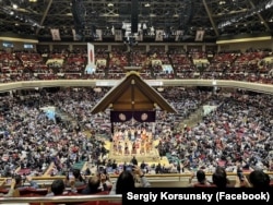 Змагання із сумо