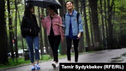 Иллюстрациялык сүрөт.