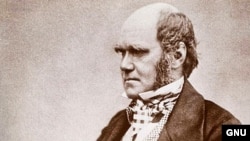 English naturalist Charles Darwin's "On the Origin of Species" was published in 1859.