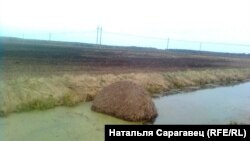 Сеў на мель. в. Сарачы, Любанскі р-н, Менская вобласць.