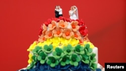 Представители Партии Зеленых отпраздновали принятие закона об однополых браках тортом.