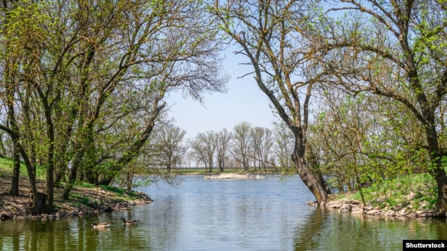 Озеро в заповіднику «Асканія-Нова»