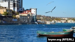 какая рыба водится в балаклаве. Смотреть фото какая рыба водится в балаклаве. Смотреть картинку какая рыба водится в балаклаве. Картинка про какая рыба водится в балаклаве. Фото какая рыба водится в балаклаве