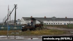 На фэрме. Ілюстрацыйнае фота