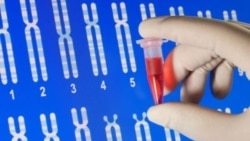 Иллюстративное фото