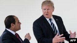 عبدالفتاح السیسی در آوریل سال جاری با سفر به واشینگتن با دونالد ترامپ دیدار کرد.