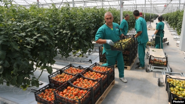 Armenia - Workers at a commercial greenhouse in Ararat province, 19Apr2017.