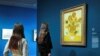 Другая картина Винсента Ван Гога "Подсолнухи" в Амстердаме