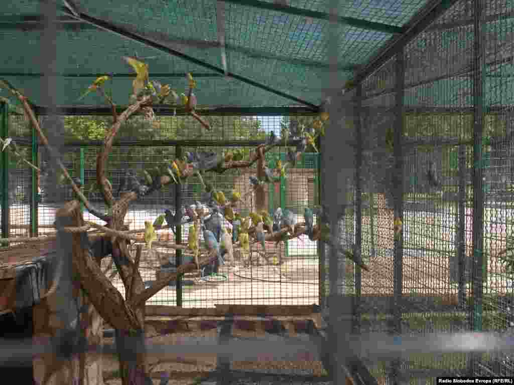 На 2 октомври во зоолошката градина се одбележа Европскиот ден за набљудување на птици.