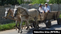 La Telenești