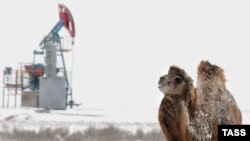 Солтүстік Бозащы кен орны, Маңғыстау. 