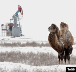 На месторождении Северный Бузачи в Мангистауской области.