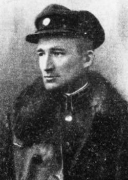 Андрій Мельник, 1919 рік