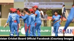 بازیکنان تیم ملی کریکت افغانستان