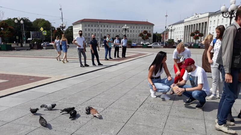 Суд в Калининграде назначил активистке обязательные работы за кормление голубей