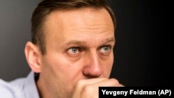 Lideri opozitar, Aleksei Navalny