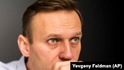 Aleksei Navalny 