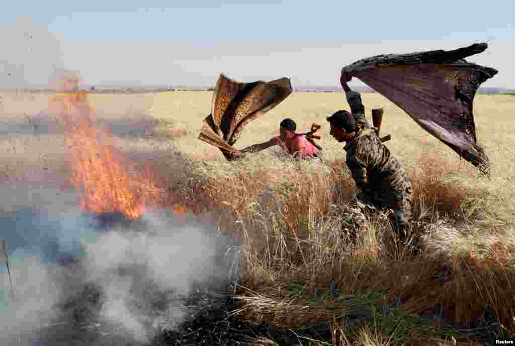 Syrian Kurdish fighters from the People's Protection Units (YPG) extinguish a fire in a wheat field burned during clashes with Islamic State militants in Raqqa on June 15. (Reuters/Goran Tomasevic)