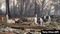 Рятувальники шукають рештки тіл на згарищі в місті Парадайз, Каліфорнія, США, 15 листопада 2018 року