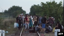 Беженцы на венгерско-сербской границе
