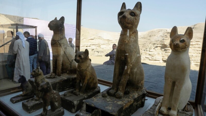 Egipat: Otkrivena velika zbirka mumificiranih životinja