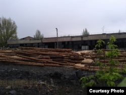 Фото автора: срезанные деревья, используемые для крепления в шахте на территории бывшего завода имени Малышева, где нелегально добывают уголь
