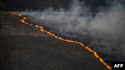 Пожежа в зоні відчуження, 28 квітня 2015 року