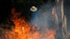 Джунгли Амазонки в огне: пожары и глобальное потепление