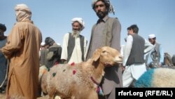 افغانستان- مردم در حال خرید و فروش مواشی برای عید