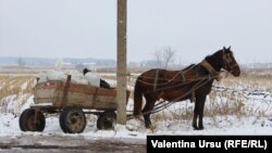 „Trebuie să aibă grijă de oameni, grijă de oameni, că lumea de la sat îi tare obijduită.”