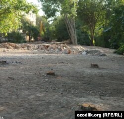 Территория в махалле «Ахмед Югнаки», на которой была осуществлена незаконная вырубка деревьев.