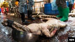 Убитый крокодил на «мокром рынке» в Гуанчжоу, КНР.

