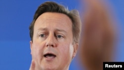 British Prime Minister David Cameron (file photo)