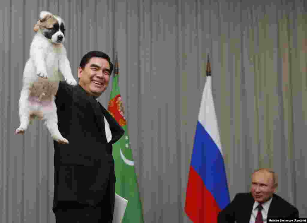 Turkmen President Gurbanguly Berdymukhammedov (left) holds aloft a Central Asian Shepherd puppy that he presented to Russian President Vladimir Putin (right) on the sidelines of a summit of the Commonwealth of Independent States (CIS) in Sochi on October 11. (Reuters/Maxim Shemetov)