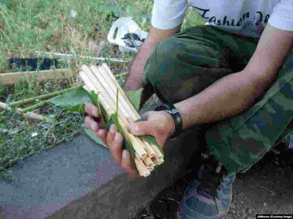 Gasparian says he sometimes ventures up to 20 kilometers through the forest, hunting for the right bamboo. One plant is enough for around five straws. After harvesting, slicing, and cleaning the tubes, the final step is to bake them for around 15 minutes to harden the fibers.