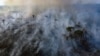 Се зголемува бројот на шумски пожари во Амазон