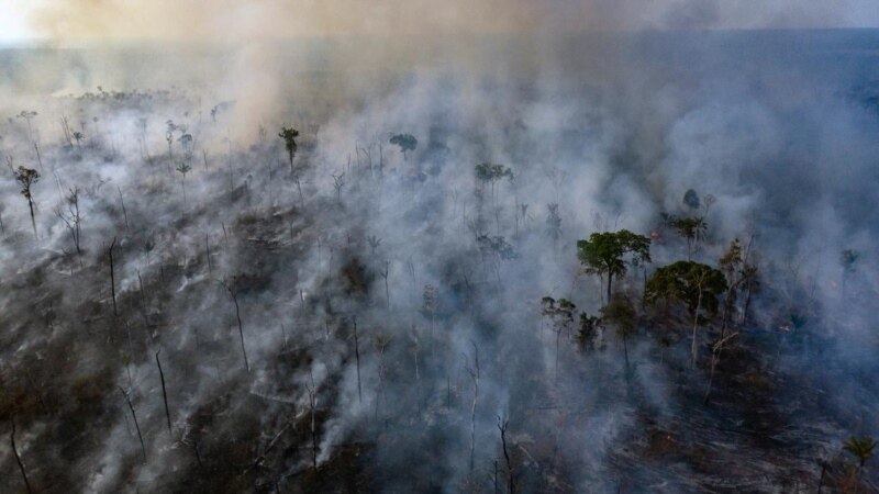 Се зголемува бројот на шумски пожари во Амазон