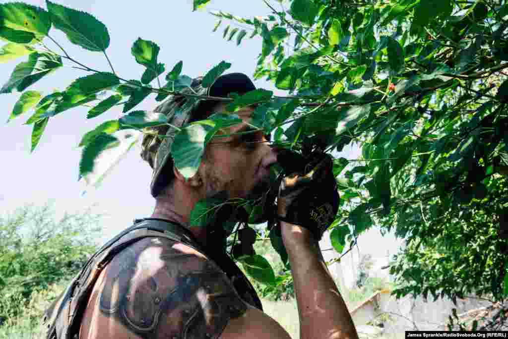 A soldier picks fruit off a tree while carrying supplies back to his unit’s house.