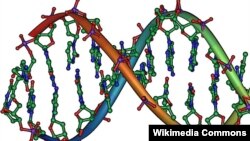 Struktura e ADN-së...