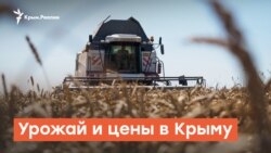 Урожай и цены в Крыму | Дневное ток-шоу