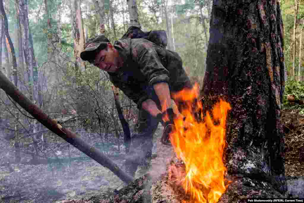 A firefighter races to cut down a burning tree before the fire spreads.