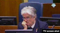 Ratni lider bosanskih Srba Radovan Karadžić tokom suđenja za ratne zločine i genocid, 27. oktobar 2010.