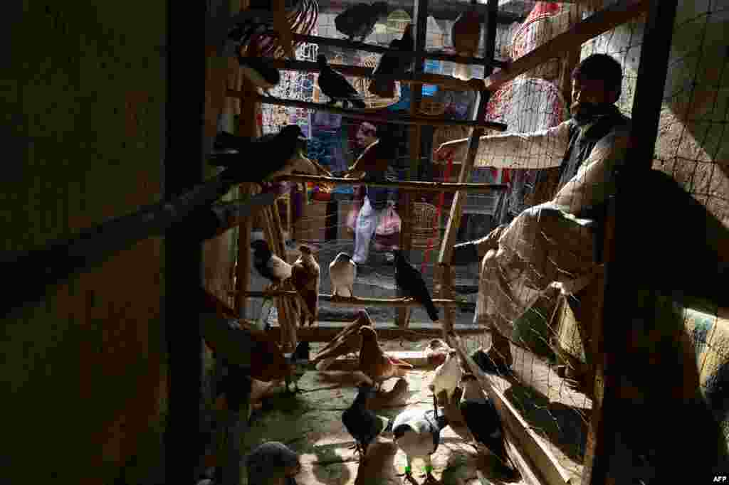 An Afghan bird vendor waits for customers at his shop in the bird market in Kabul. (AFP/Aref Karimi)