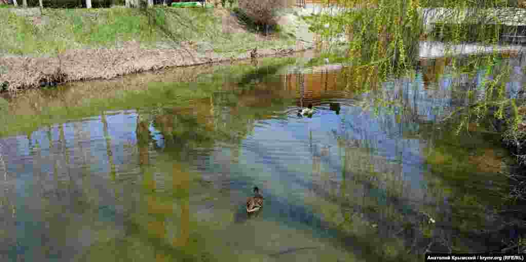 Han-Eli (Novopavlovka) köyünde Alma özeniniñ kenarındaki park