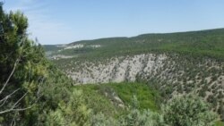 Чернореченский каньон