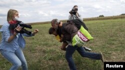 Петра Лазло, бывшая сотрудница венгерского телеканала, и мигрант с ребенком, споткнувшийся из-за нее, венгерско-сербская граница, сентябрь 2015 года.