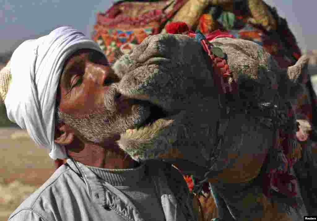 A man kisses his camels in front of the Giza pyramids in Cairo as he waits for tourists. (Reuters/Asmaa Waguih)