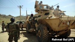 پنج جنگجوی گروه طالبان در یک درگیری در ولسوالی قلعۀ کاه ولایت فراه کشته شده اند.