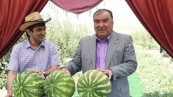 Tacikistan üçün seçim: ya ata Emomali Rahman, ya oğul Rustam